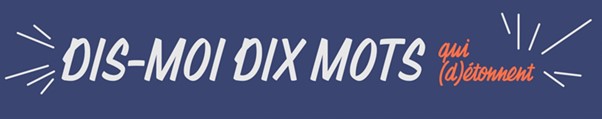 Logo dis moi dix mots2022
